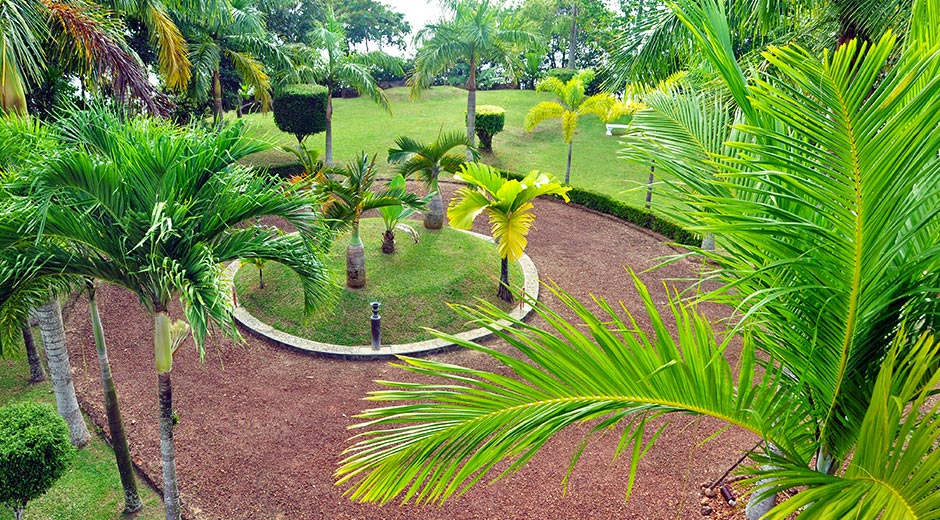 Rotating Banner